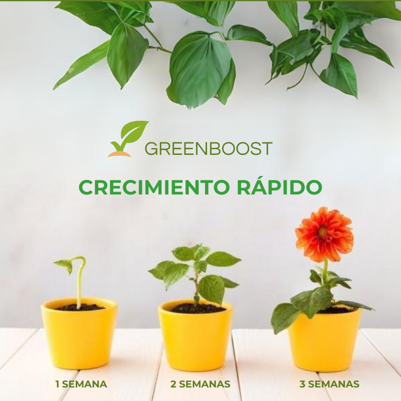 GREENBOOST™ - FERTILIZANTE DE PLANTAS ORGÁNICO EN TABLETA