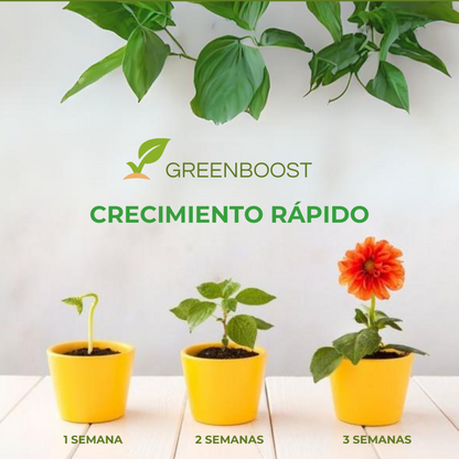 GREENBOOST™ - FERTILIZANTE DE PLANTAS ORGÁNICO EN TABLETA