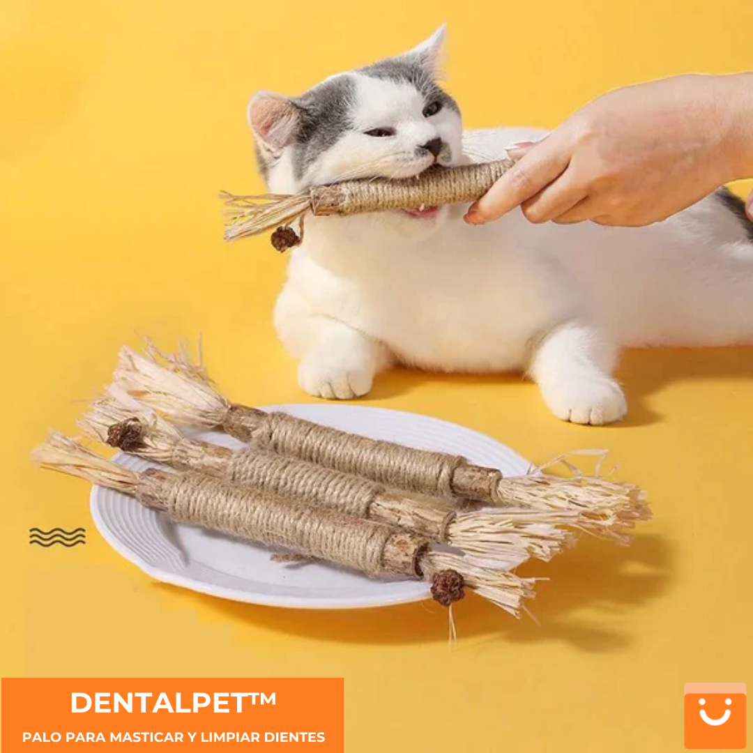 DENTALPET™ - MORDEDOR DENTAL PARA HIGIENE BUCAL