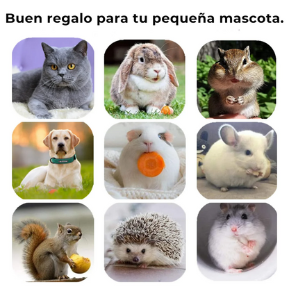 DENTALPET™ - MORDEDOR DENTAL PARA HIGIENE BUCAL