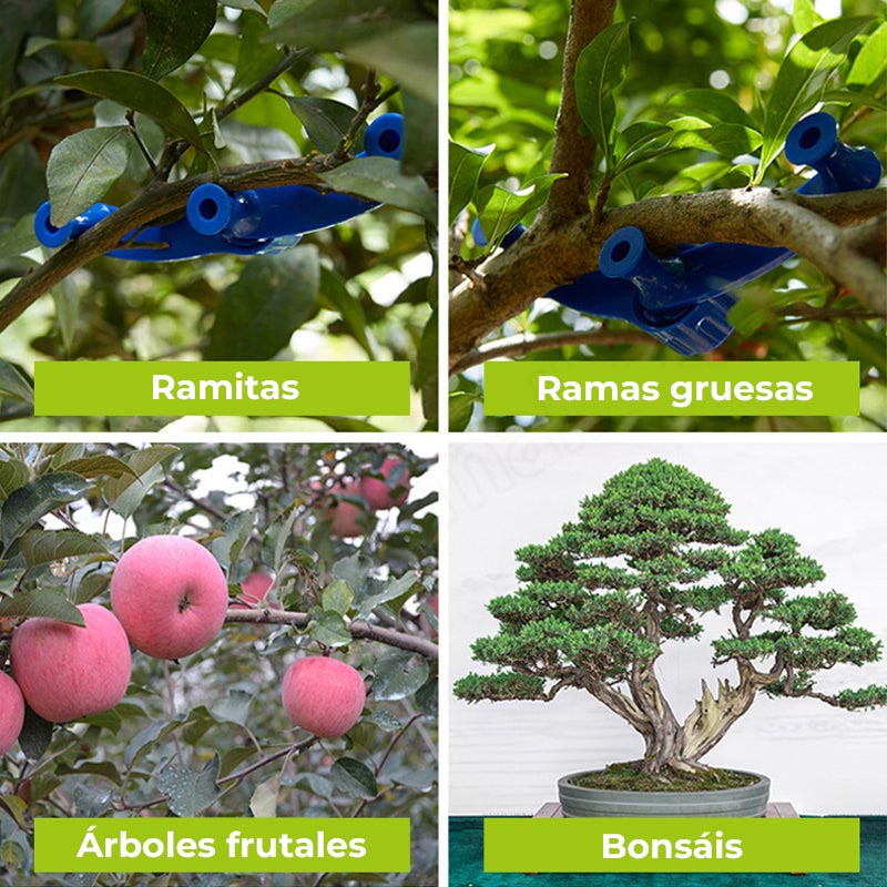 ShapeShift™ - Moldeadores para ramas