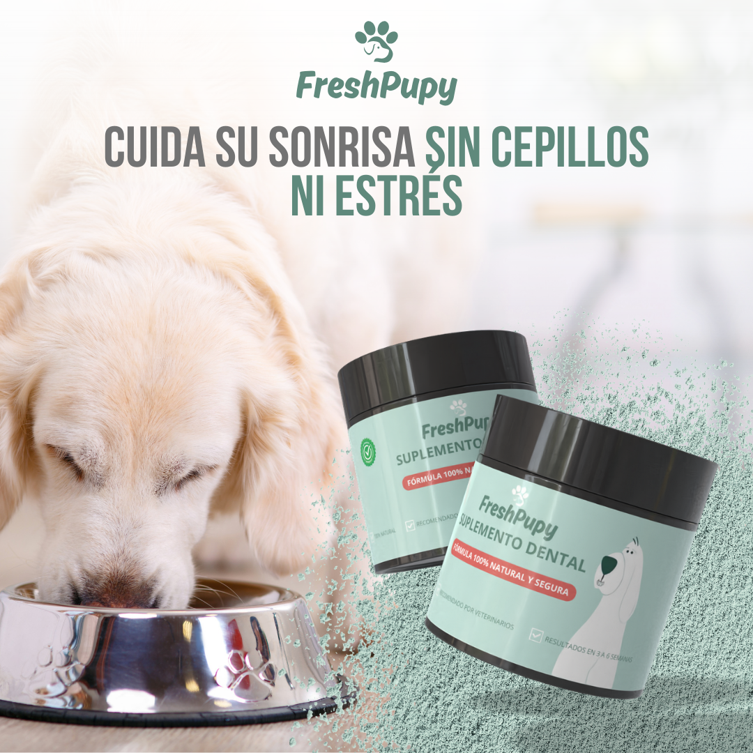 FreshPupy™ - Sonrisa saludable para tu mascota, de manera natural