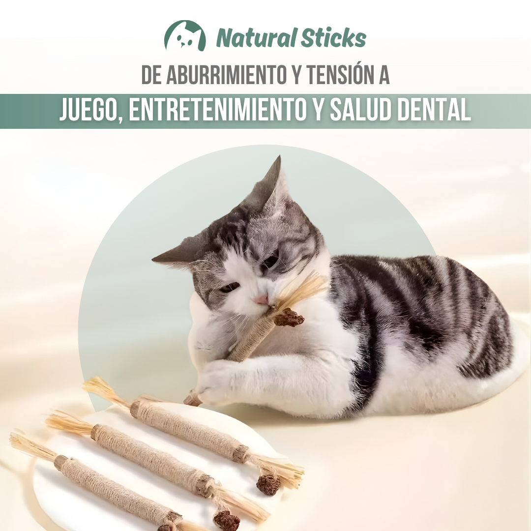 Natural Sticks™ — Juego natural, menos estrés y más felicidad felina