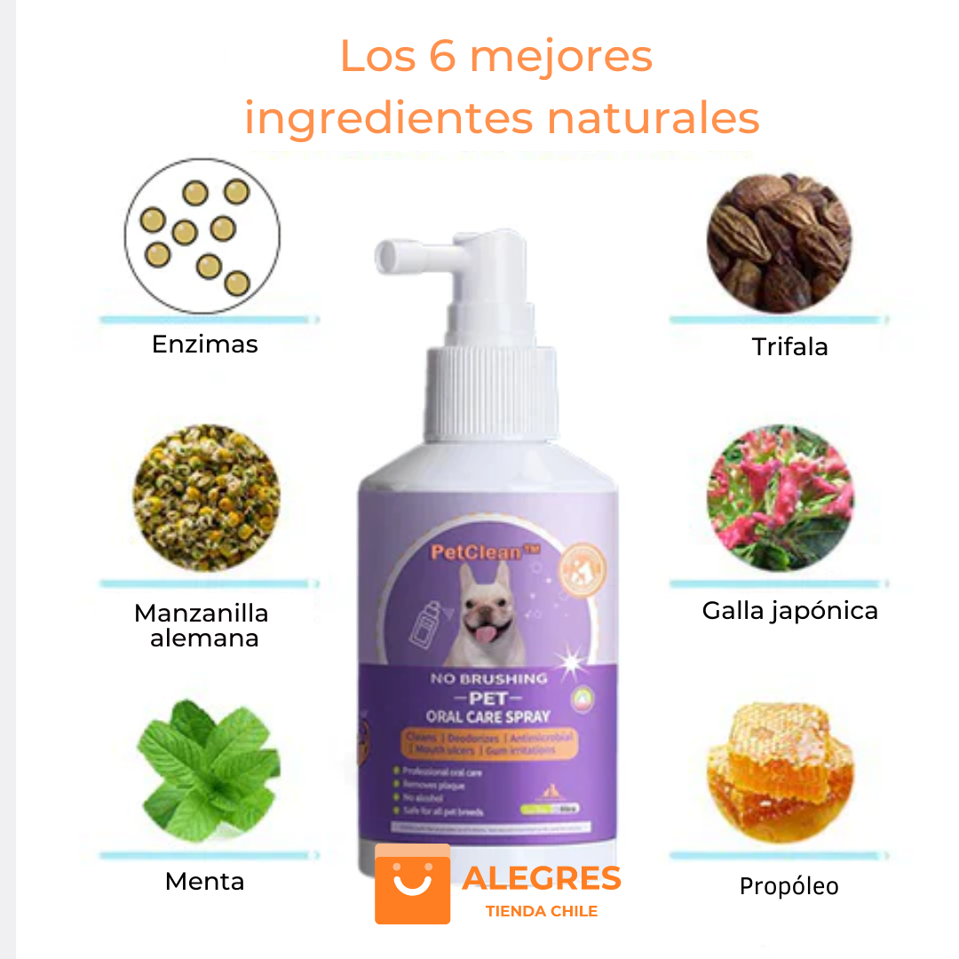 Venta Flash 🔥 | PetClean™ - Aerosol 100 % Natural para el cuidado bucal de perros y gatos