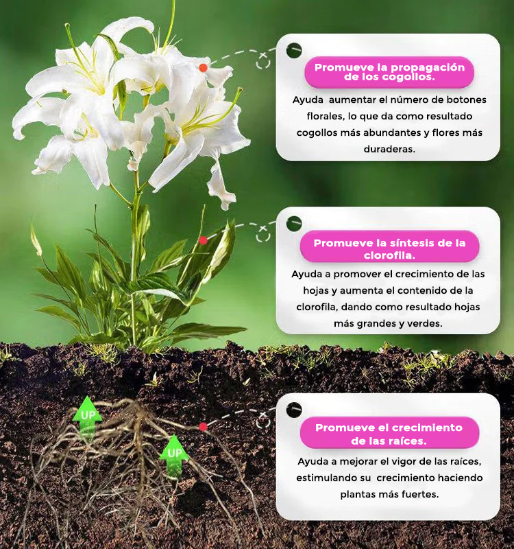 Plantsupport - Fertilizante para plantas