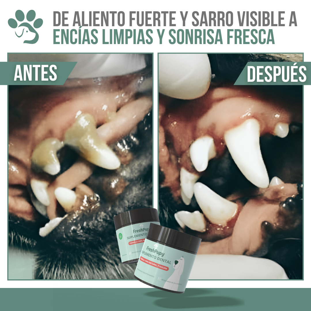 FreshPupy™ - Sonrisa saludable para tu mascota, de manera natural