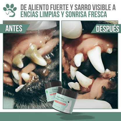 FreshPupy™ - Sonrisa saludable para tu mascota, de manera natural