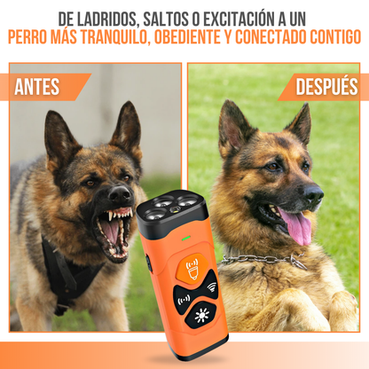 Bark Control™ – Educa con respeto, controla con tecnología