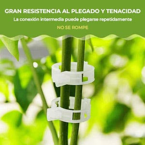 GrowGuard™ - Clips de soporte para plantas