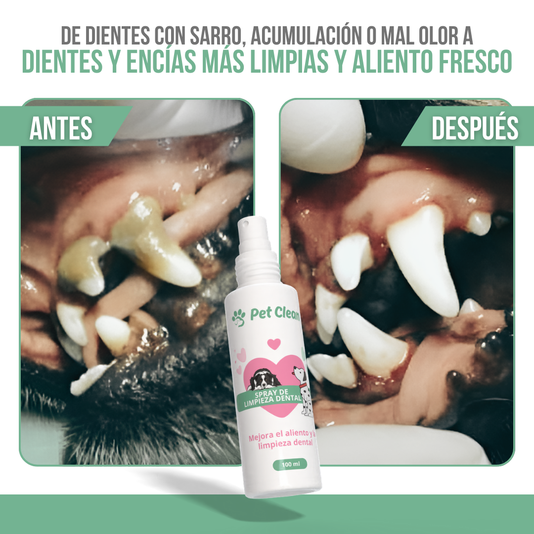 Pet Clean™ — Aliento fresco y dientes sanos, sin peleas ni cepillos