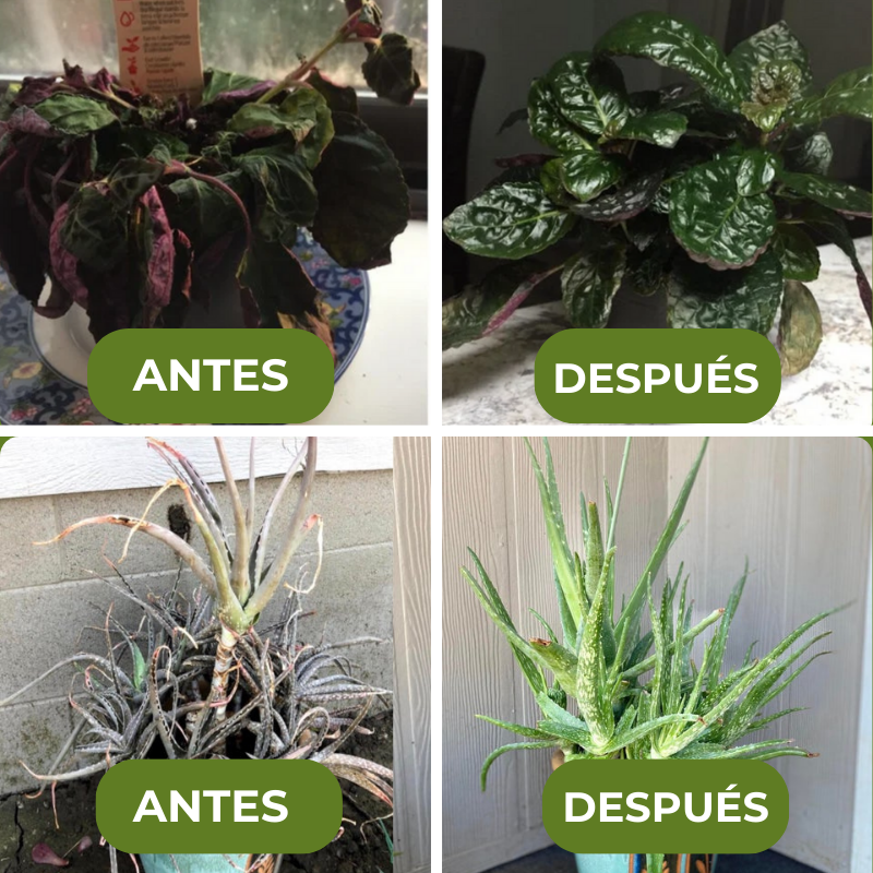 GREENBOOST™ - FERTILIZANTE DE PLANTAS ORGÁNICO EN TABLETA