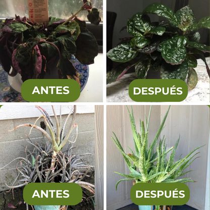 GREENBOOST™ - FERTILIZANTE DE PLANTAS ORGÁNICO EN TABLETA