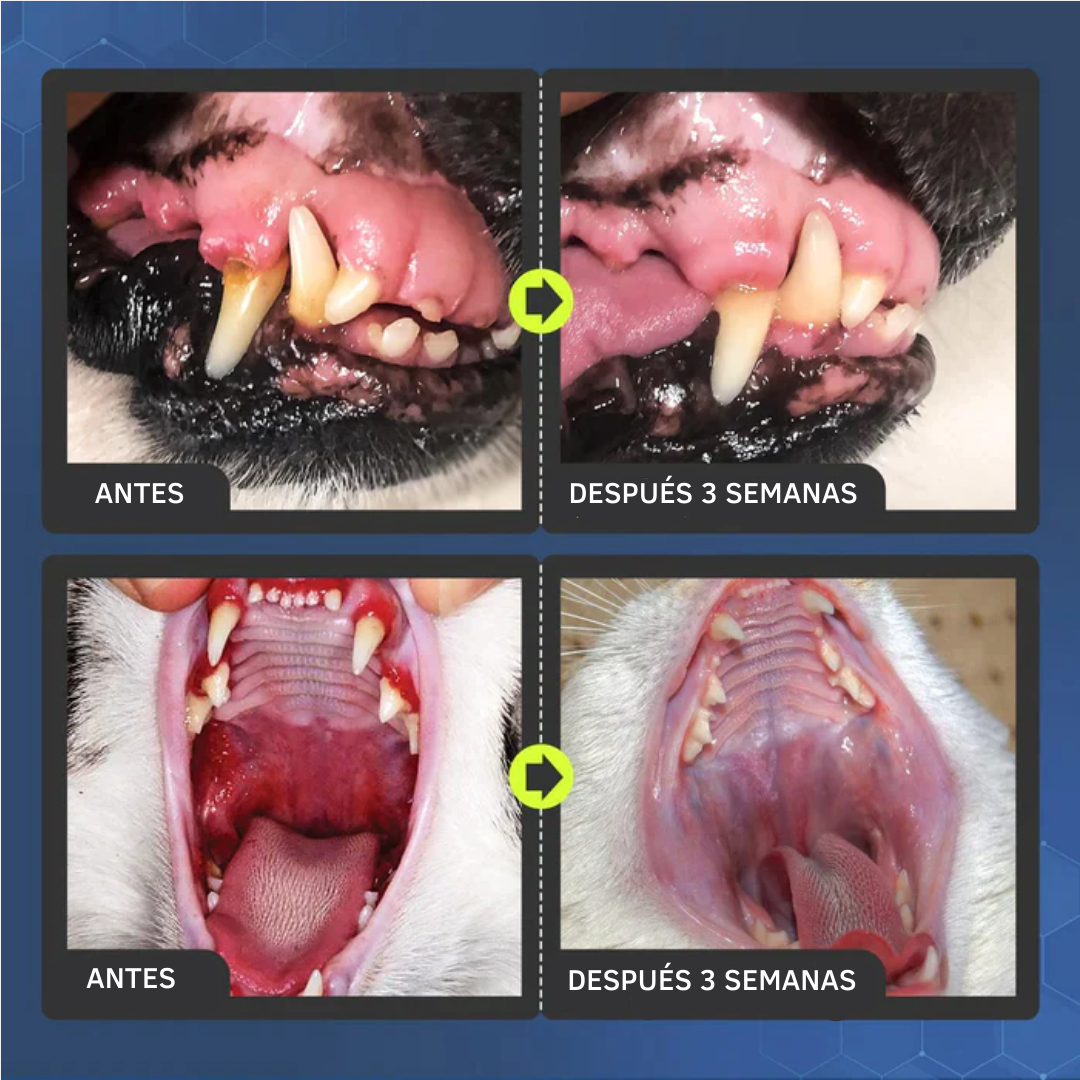 Venta Flash 🔥 | PetClean™ - Aerosol 100 % Natural para el cuidado bucal de perros y gatos