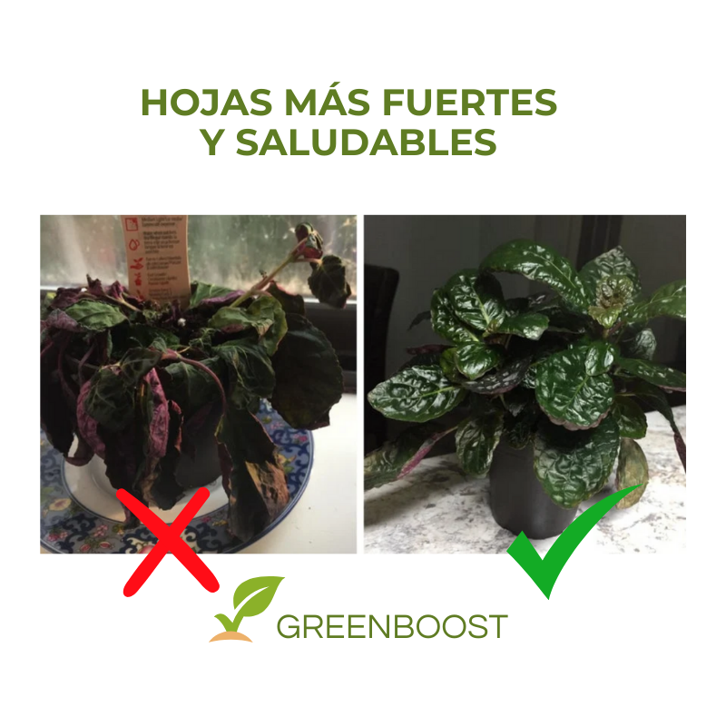 GREENBOOST™ - FERTILIZANTE DE PLANTAS ORGÁNICO EN TABLETA