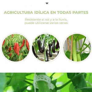 GrowGuard™ - Clips de soporte para plantas