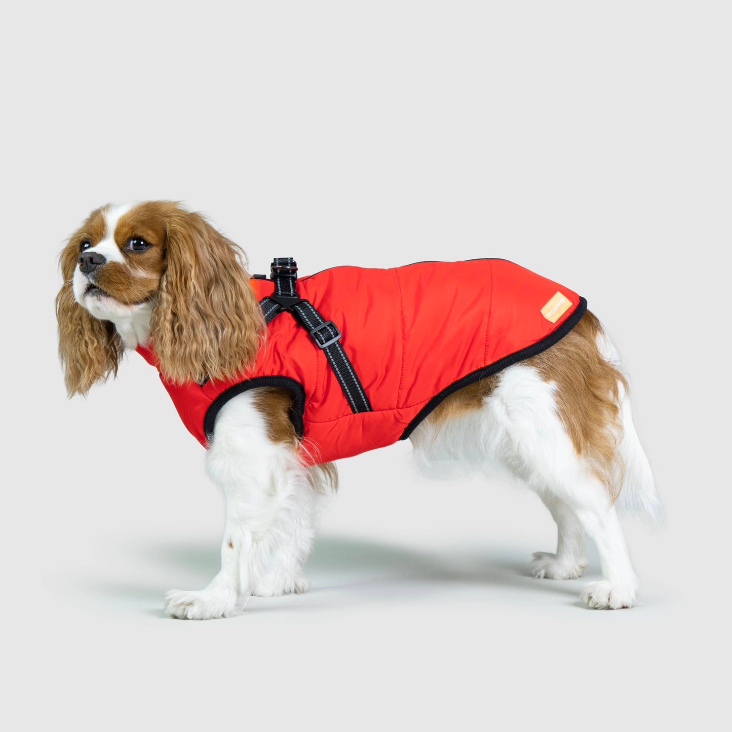 WinterPaws™ - Abrigo invernal para perros