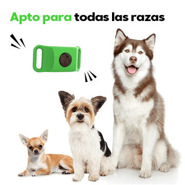 SafePaws™ - Collar antipulgas para perros 100% natural