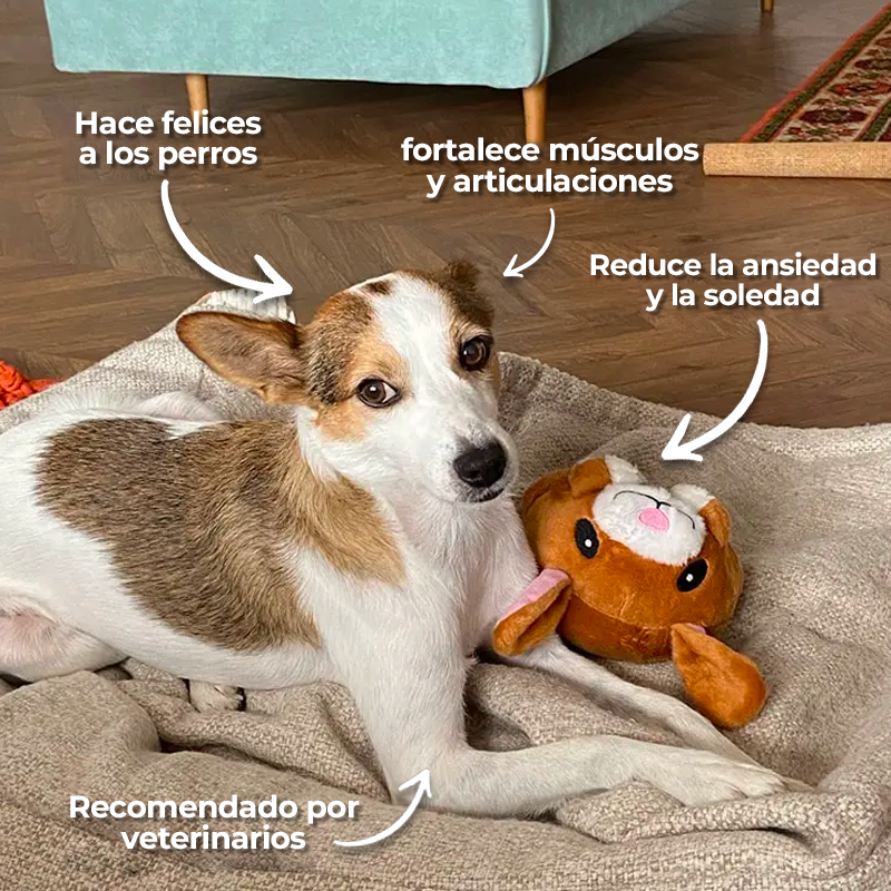 Pawsitive™ - Jugete interactivo para perros