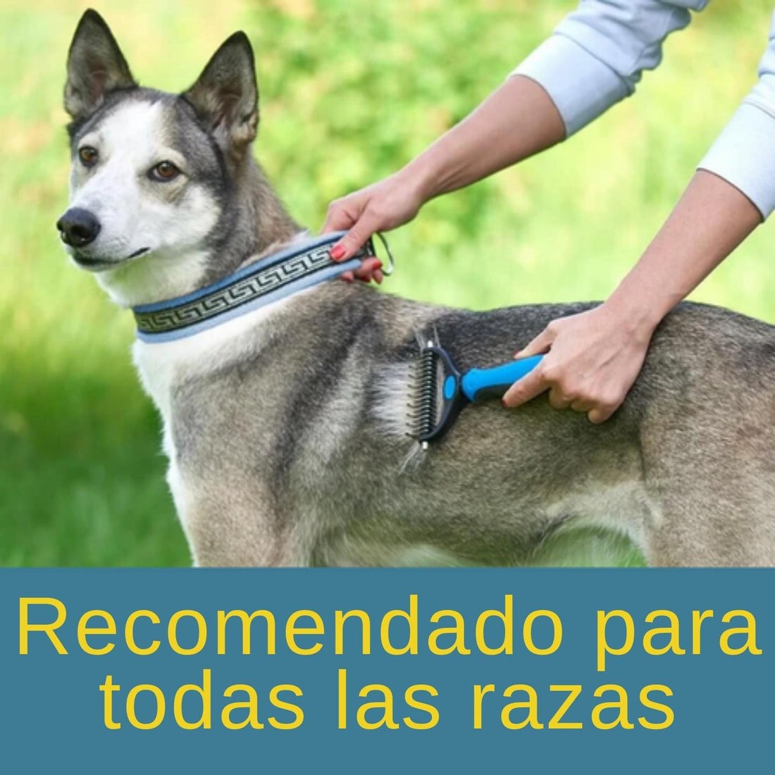 Peine corta nudos para perros y gatos