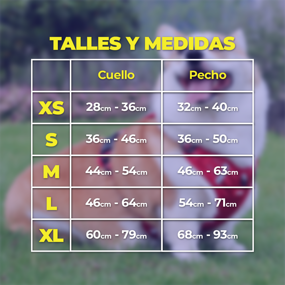 DogSafe™ Correa antitirones para perros