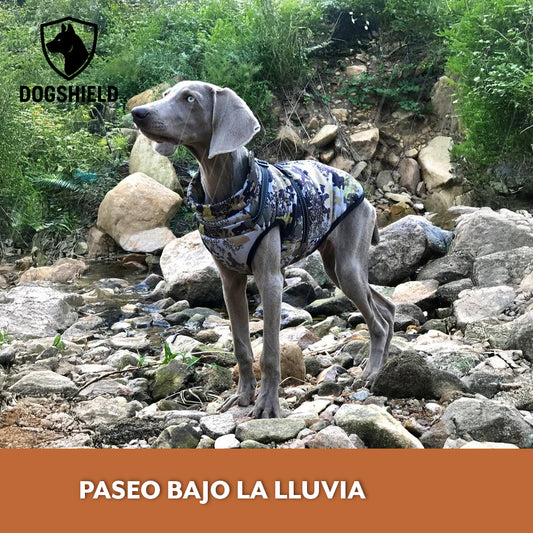 Dogshield™ – Protección total para tu mejor amigo