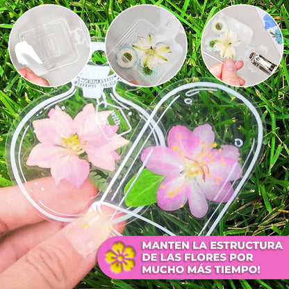 EverBloom™ - Postales para preservar flores y hojas