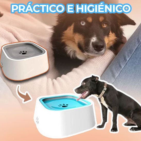 SplashShield™ - Bowl anti salpicaduras