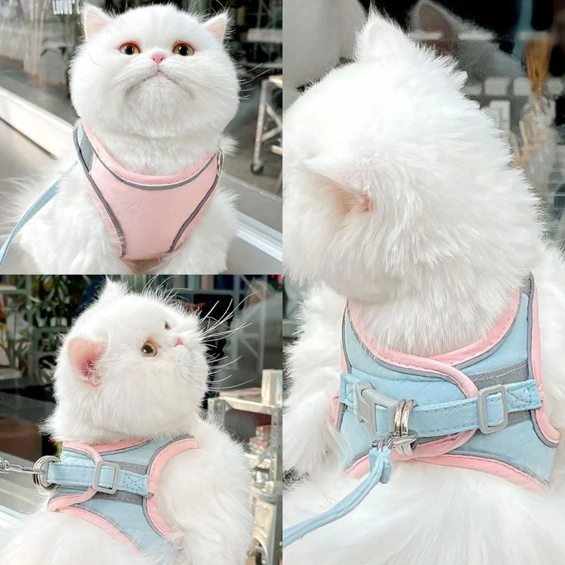 SecurePaws™ - JUEGO DE ARNÉS Y CORREA PARA GATOS