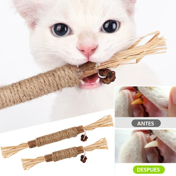 DENTALPET™ - MORDEDOR DENTAL PARA HIGIENE BUCAL