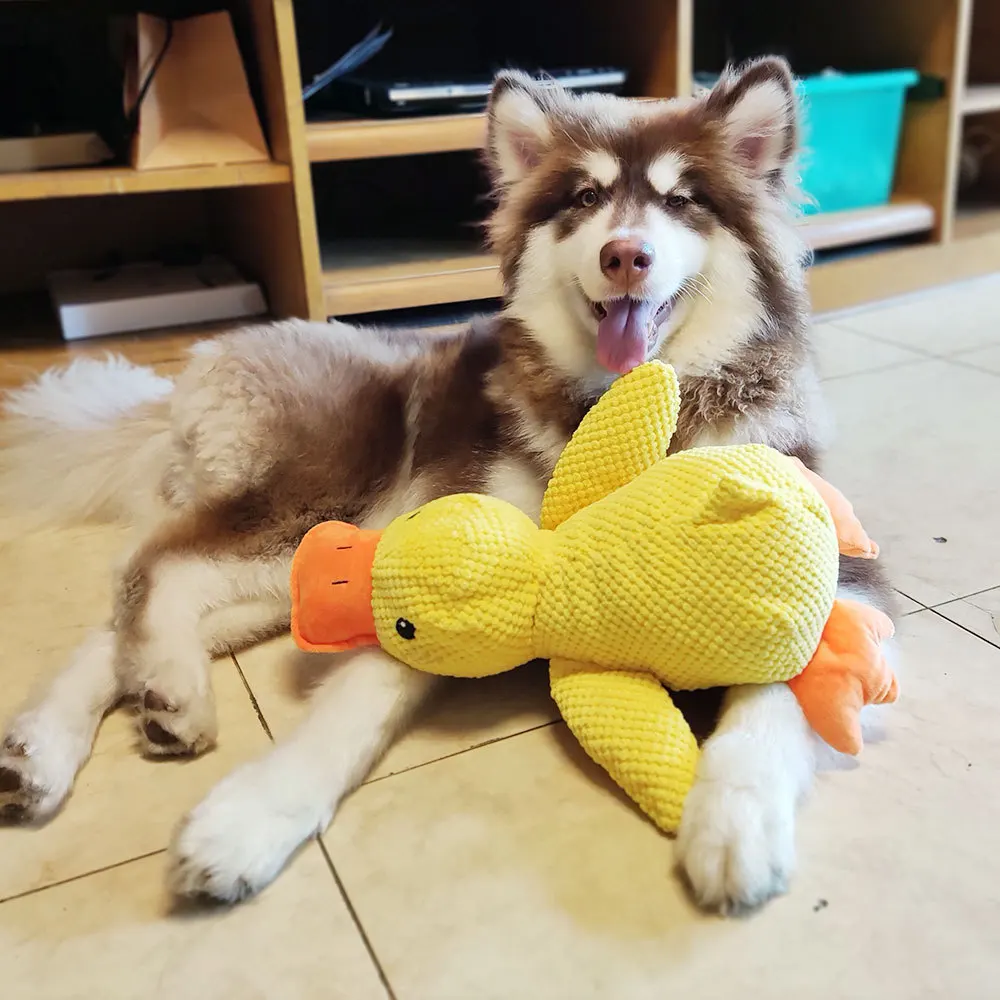 QUACKDUCK™ - PATO DE PELUCHE CON SONIDO PARA PERROS