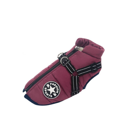 Dogshield™ – Protección total para tu mejor amigo