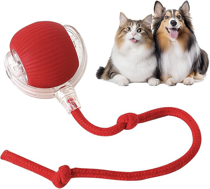 SpinPet™ - Juguete interactivo para gatos