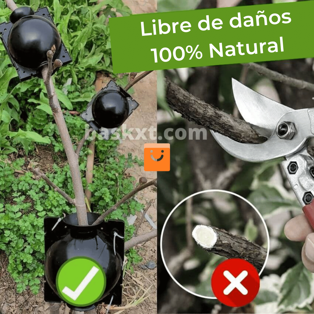 RootEasy™️ - Cultiva plantas rápidamente