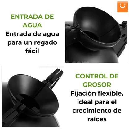 RootEasy™️ - Cultiva plantas rápidamente