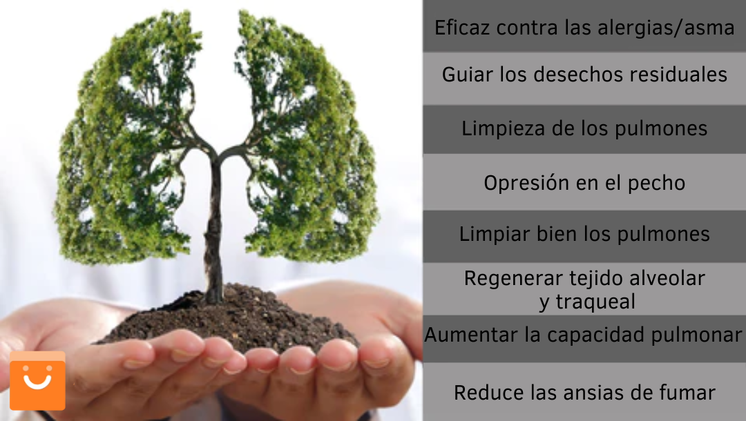 OnNature™ - Spray de limpieza del sistema respiratorio en base a hierbas