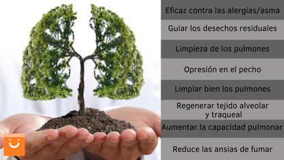 OnNature™ - Spray de limpieza del sistema respiratorio en base a hierbas